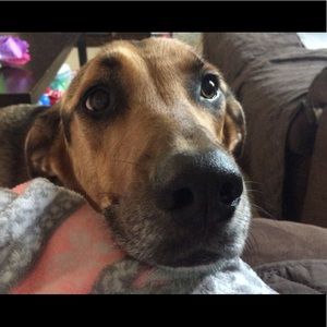 Meet your Posher, Stacey